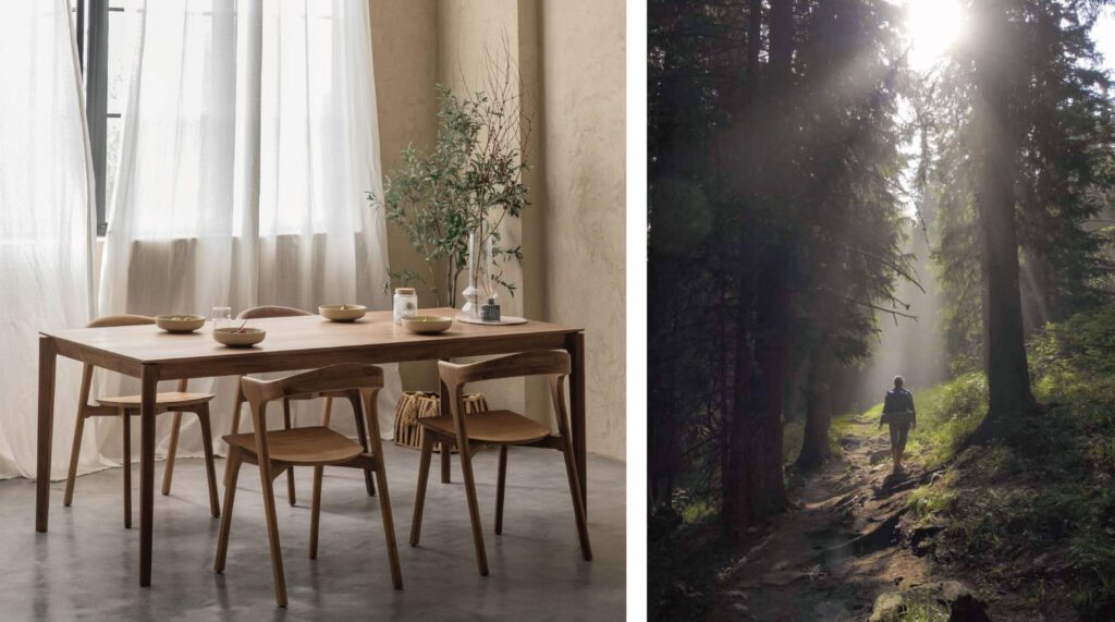 什麼是 FSC 認證-2