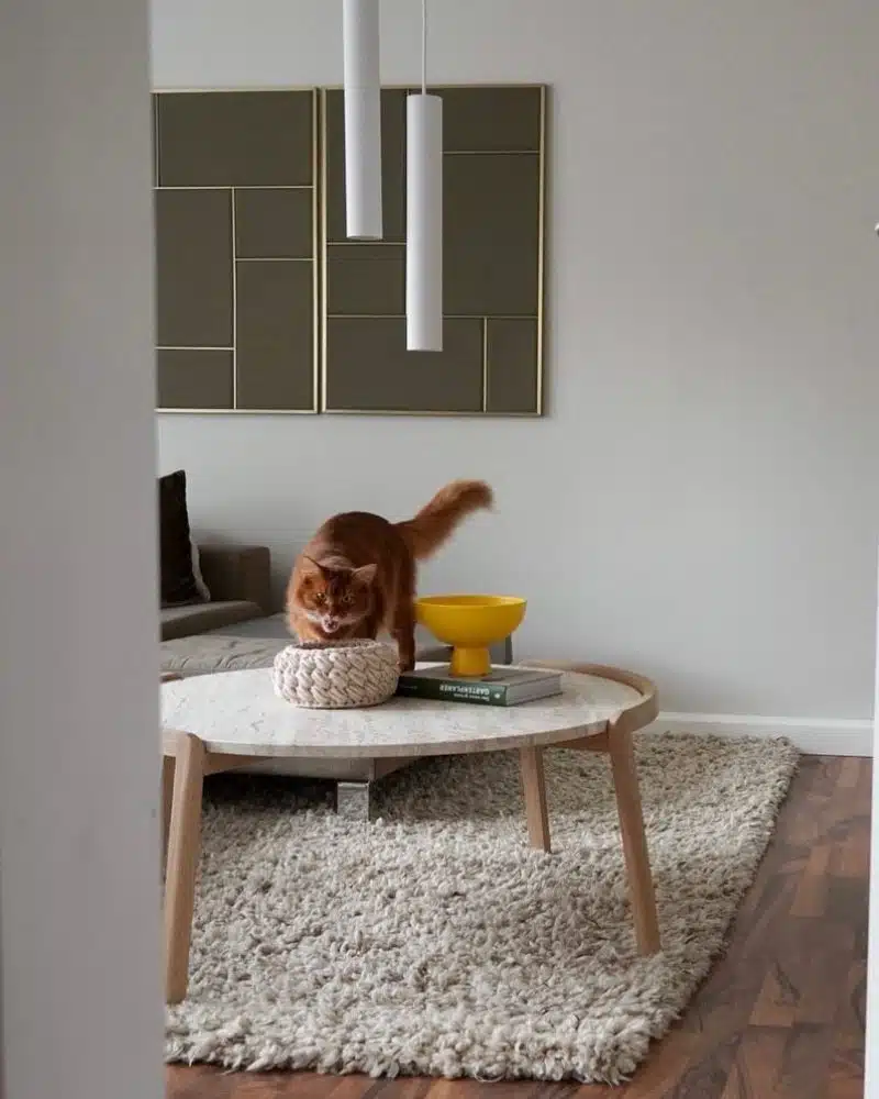 案例靈感 – Shop The Look - 图片 74521