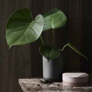 Menu Cylindrical 陶瓷花器-32